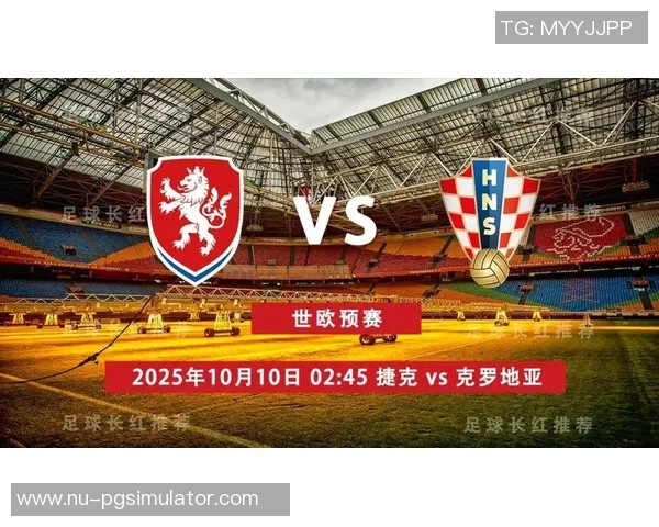 捷克现役足球明星的崛起与挑战：从帕尔杜卡到希尔的球场风云